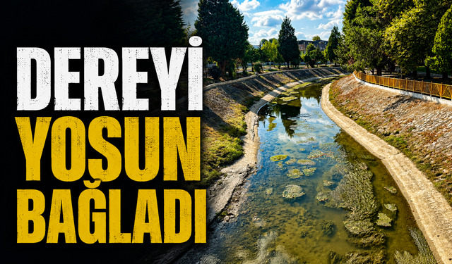 Çark Deresi’nde Yosun Sorunu: Vatandaşlar Temizlik ve Çözüm Bekliyor