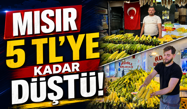 Mısır 5 TL'ye kadar düştü!