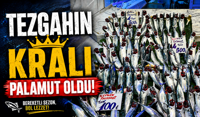 Palamut tezgahları doldurdu