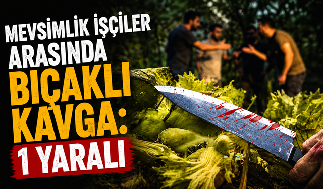 Mevsimlik İşçiler Arasında Bıçaklı Kavga: 1 Yaralı