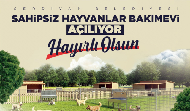 Serdivan Sahipsiz Hayvanlar Bakımevi Açılıyor! 1000 Hayvan Kapasiteli Modern Tesis Hizmete Giriyor