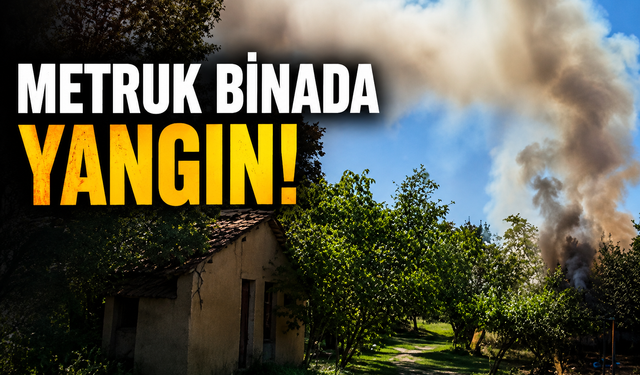 Metruk bina alevlere teslim oldu