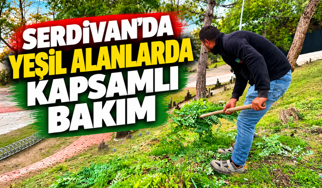 Serdivan’da yeşil alanlarda kapsamlı bakım