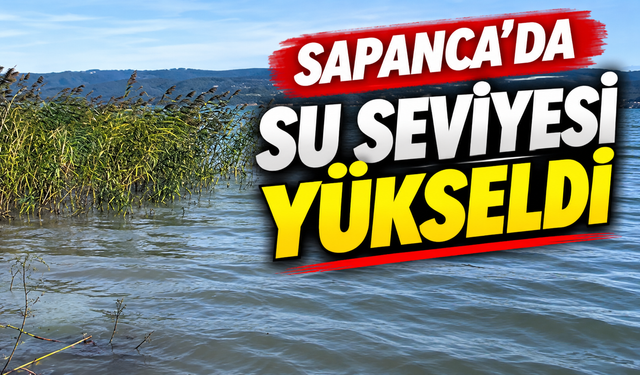 Sapanca Gölü eski günlerine dönüyor!