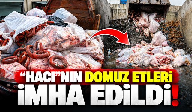 Sakarya'da domuz eti skandalında yeni gelişme! 2,6 ton sucuk imha edildi