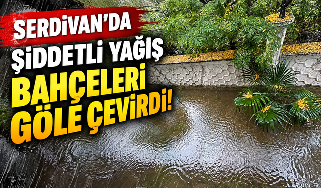 Serdivan'da şiddetli yağış bahçeleri göle çevirdi!