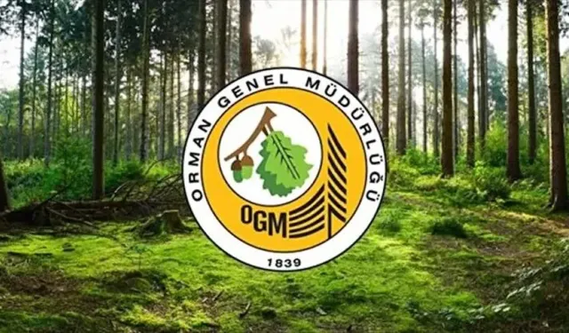 Orman Genel Müdürlüğü 12 müfettiş yardımcısı alacak!