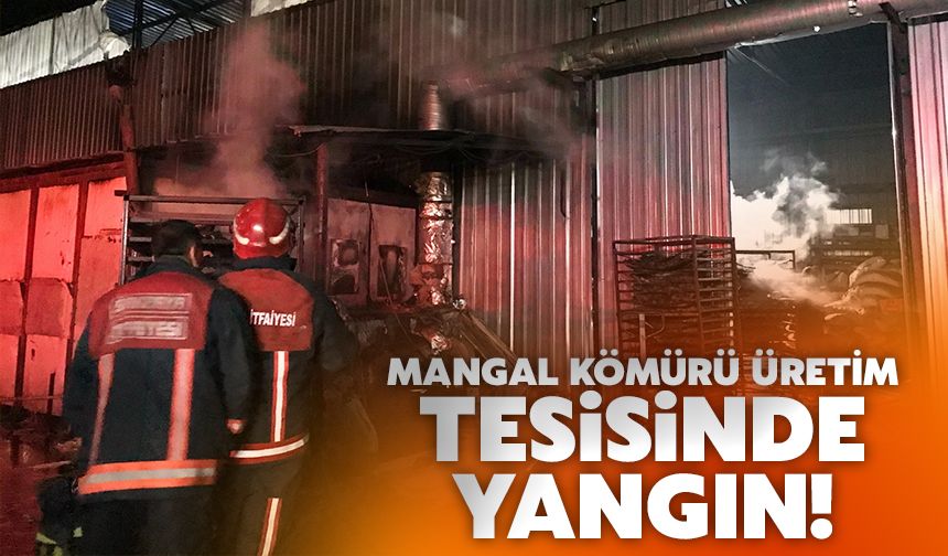 Mangal kömürü üretim tesisinde yangın