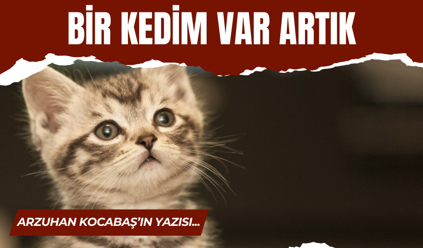 BİR KEDİM VAR ARTIK!