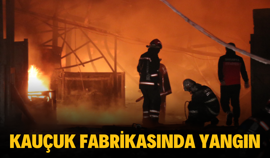 Sakarya'da Kauçuk Fabrikasında Yangın: 5 İş Yeri Kül Oldu