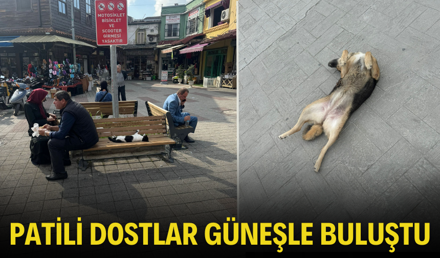 Patili Dostlar Güneşle Buluştu