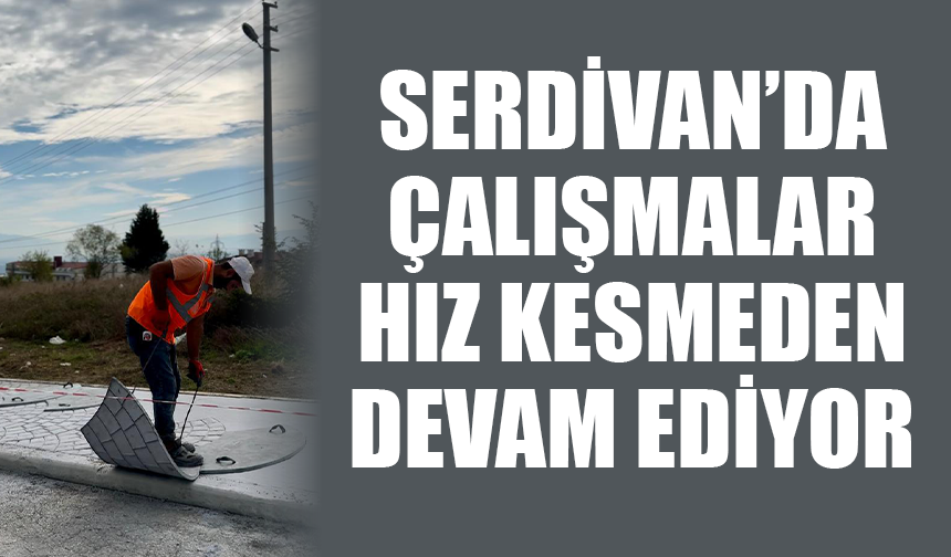 Serdivan'da çalışmalar tam gaz!