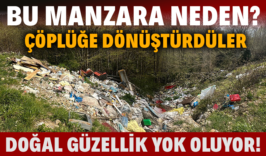 Yaylada utandıran manzara