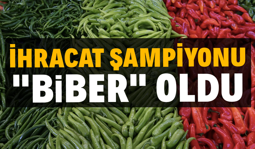 İhracat şampiyonu "biber" oldu