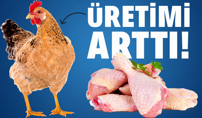 Tavuk eti üretimi martta arttı