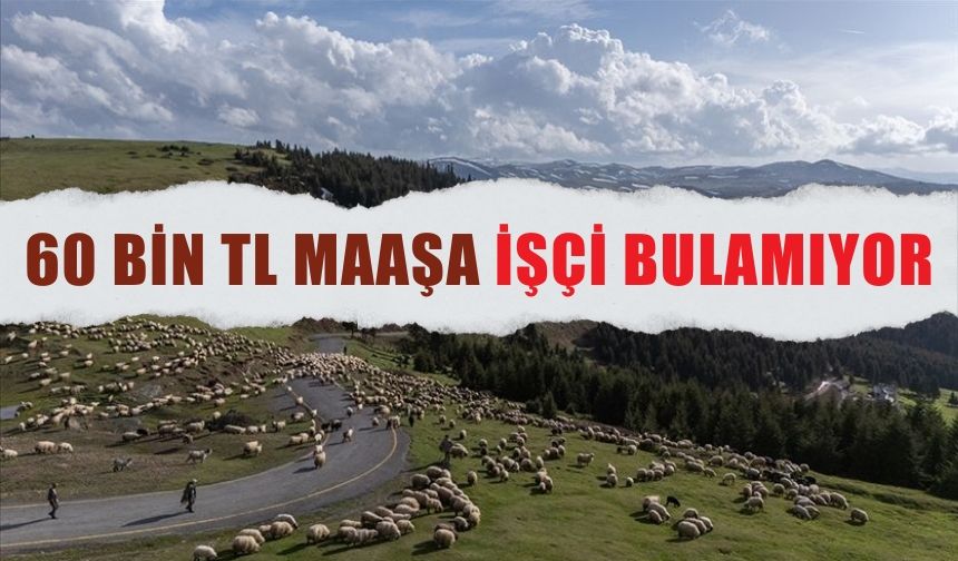 60 bin TL maaşa işçi bulamıyor!