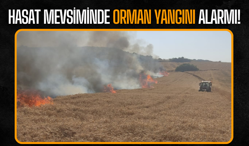 Hasat Mevsiminde Orman Yangını Alarmı: İnsan İhmali Ormanları Tehdit Ediyor