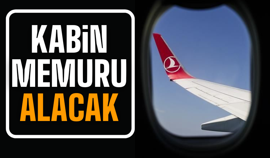 THY kabin memuru alacak! | BAŞVURU EKRANI