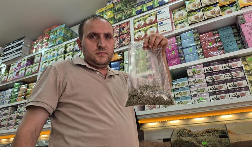 Zayıflama Çaylarına Dikkat: Kontrolsüz Kullanım Hayati Tehlike Yaratıyor
