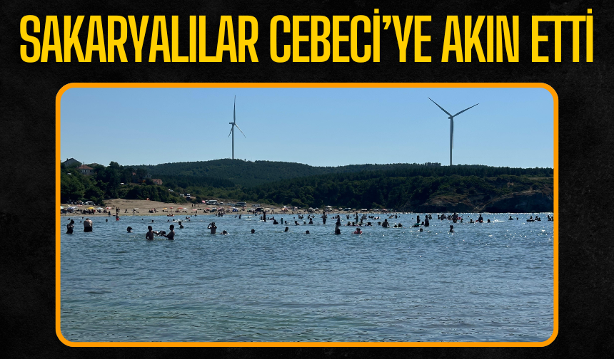 Deniz Duruldu, Sakaryalılar Cebeci Plajı’na Akın Etti!