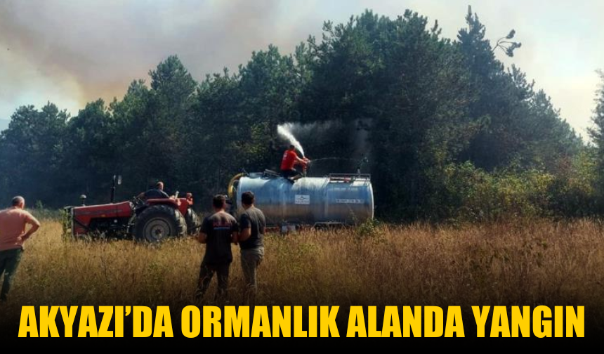 Akyazı’da Ormanlık Alanda Yangın