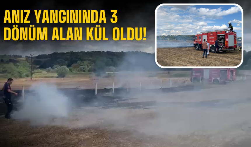 Kaynarca’da Anız Yangını: 3 Dönüm Alan Kül Oldu