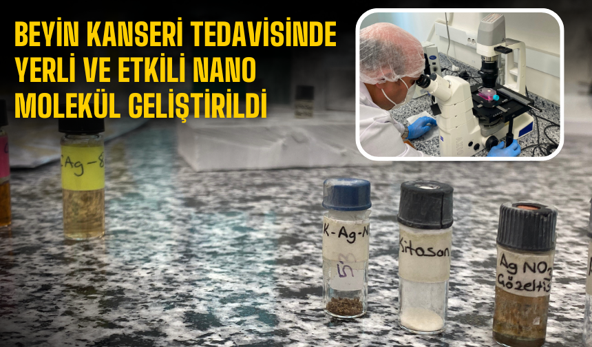 Beyin Kanseri Tedavisinde Yerli ve Yenilikçi Nano Molekül Geliştirildi: Patenti Alındı