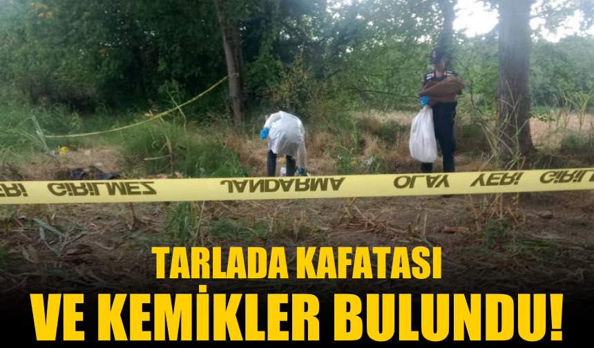 Akıl almaz olay! Tarlada kafa tası ve kemikler bulundu...
