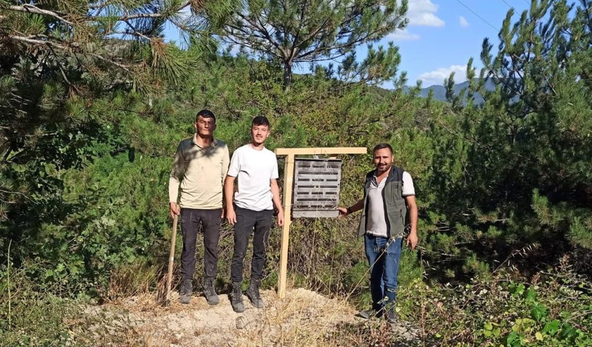 Kabuk Böceğine Karşı Biyolojik Mücadele Başlatıldı