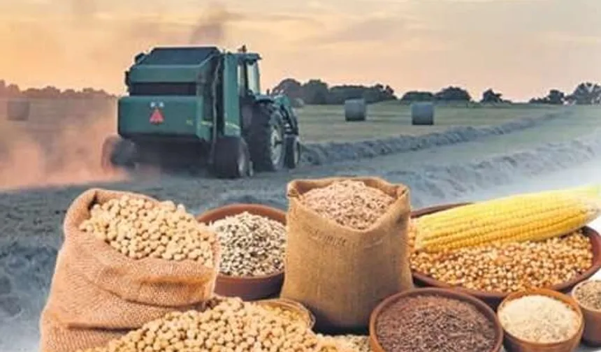 Buğday ve Mısır Fiyatları Yükseldi, Arpa Geriledi