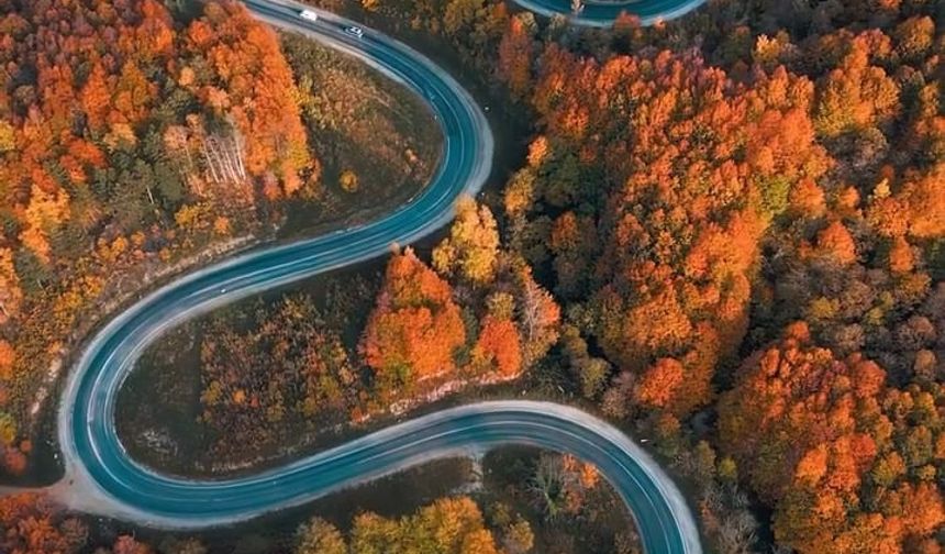 İnegöl – Domaniç Orman Yolu Sonbaharda Renk Cümbüşüne Dönüştü
