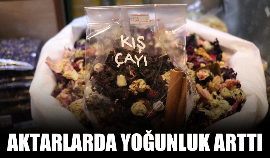 Aktarlarda yoğunluk arttı