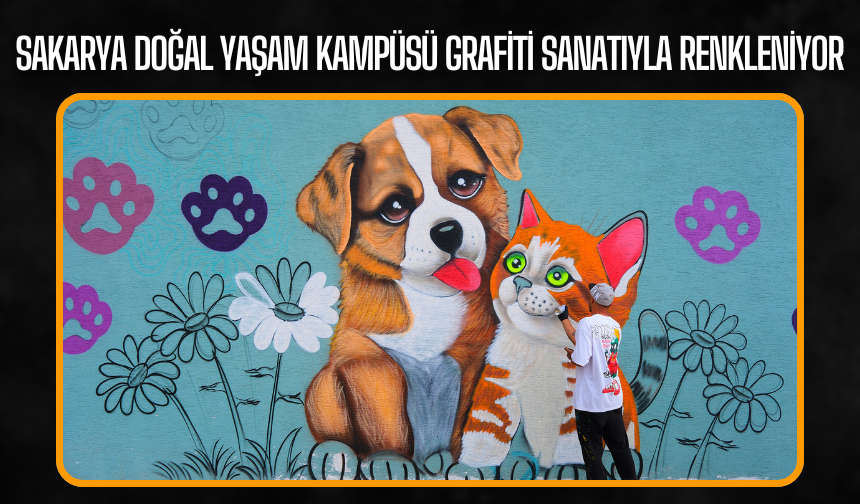 Sakarya Doğal Yaşam Kampüsü Grafiti Sanatıyla Renkleniyor