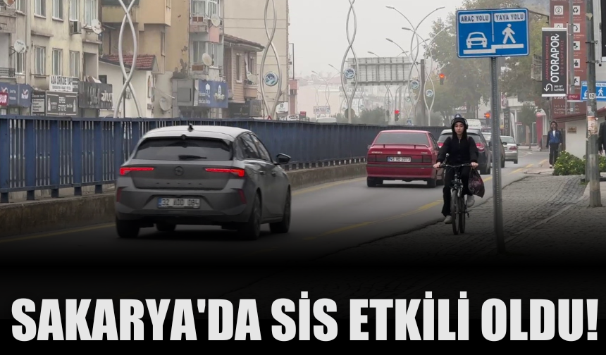 Sakarya'da sis etkili oldu