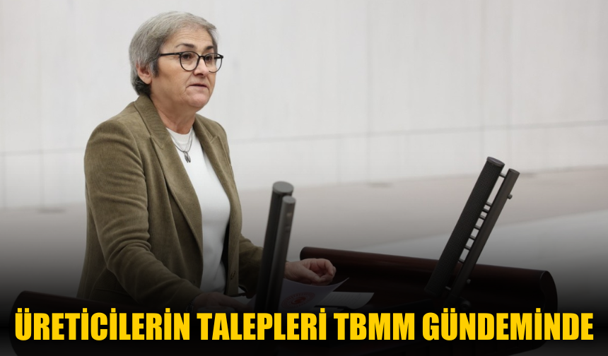Taşkent: Üreticilerin Talepleri TBMM Gündeminde