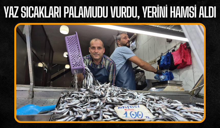 Palamut Bu Yıl Tezgahlarda Yok, Hamsi Bolluğu Yaşanıyor