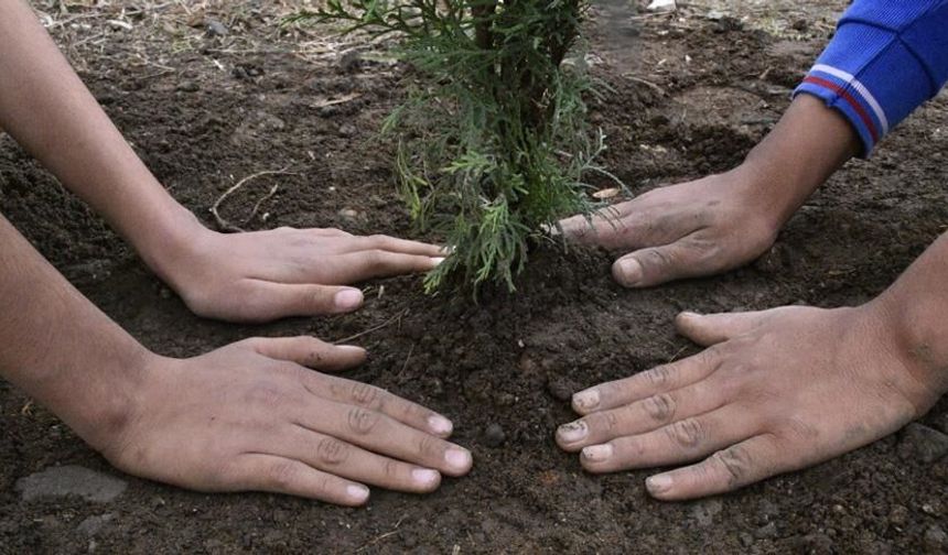 Okullarda 10-11 Kasım’da Fidan Dikim Etkinlikleri Düzenlenecek