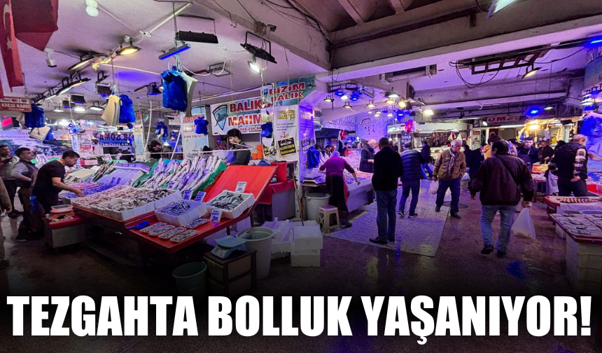 Balıkçı tezgâhlarında bereketli günler yaşanıyor