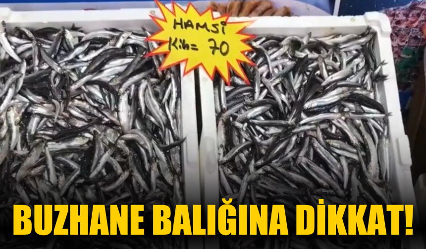 Akçakoca Balıkçı Barınağı Başkanı Karakaş’tan Uyarı