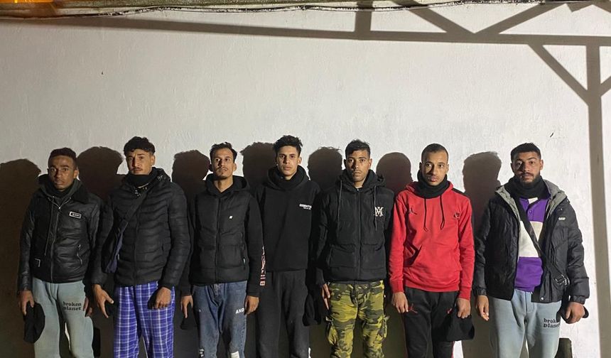 Edirne'de 9 düzensiz göçmen yakalandı