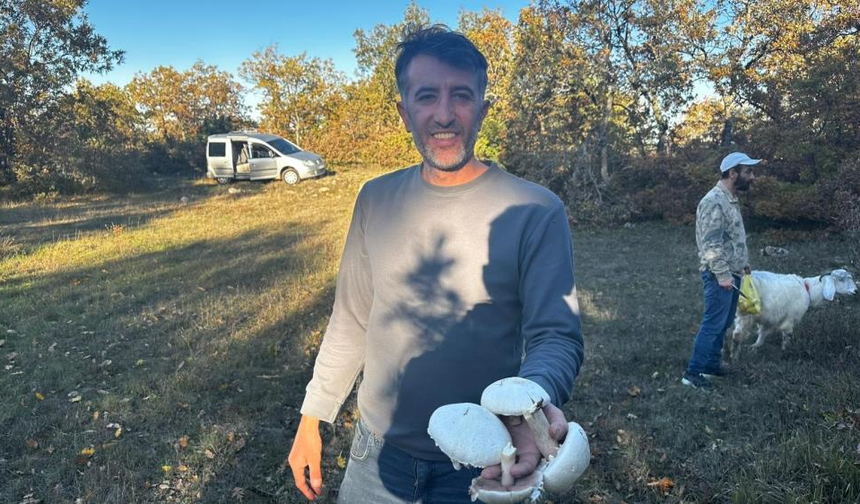 Bilecik’te mantar sezonu başladı