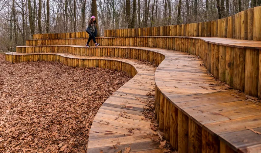 Sonbaharda huzurun adresi Ormanya'da kartpostallık görüntüler