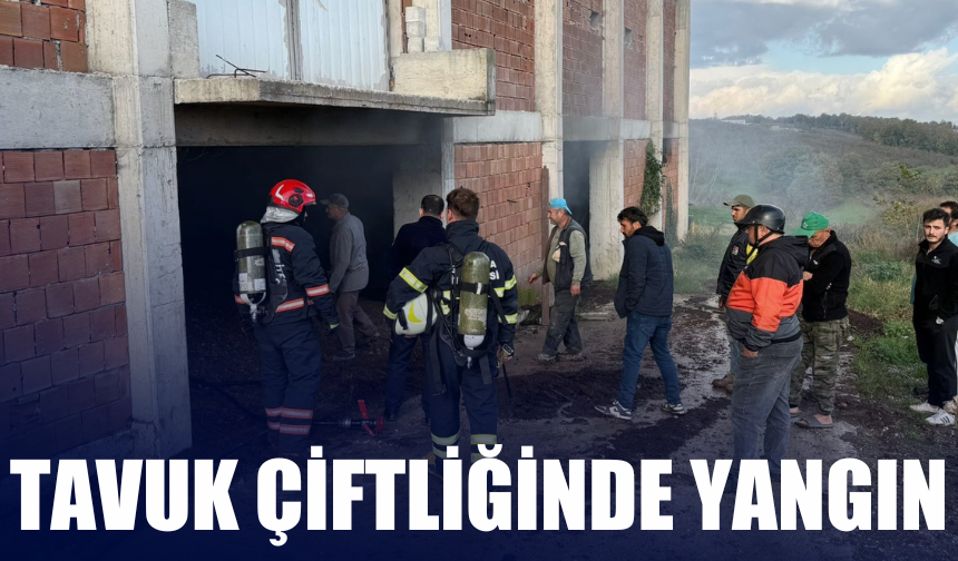Tavuk Çiftliğinde Yangın