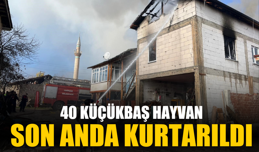 40 küçükbaş hayvan son anda kurtarıldı