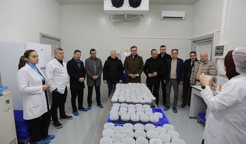 SATSO Meclis Üyeleri Sapanca'daki Doku Kültürü Laboratuvarını İnceledi