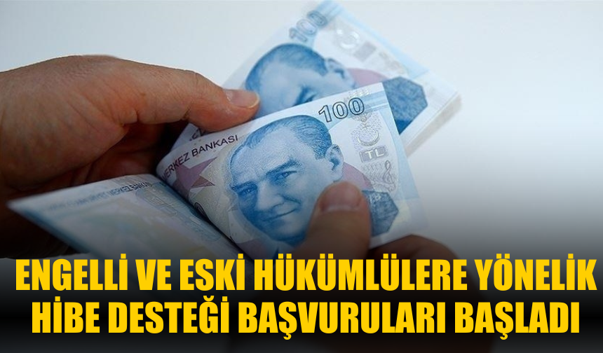 Engelli ve Eski Hükümlülere Yönelik Hibe Desteği Başvuruları Başladı