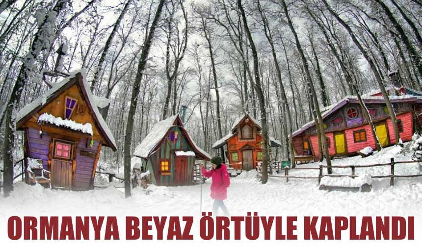 Ormanya beyaz örtüyle kaplandı