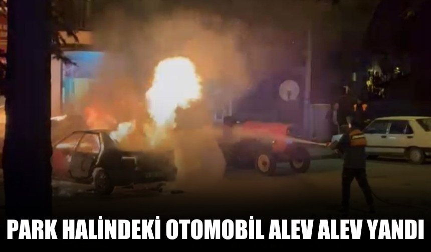 Park halindeki otomobil alev alev yandı