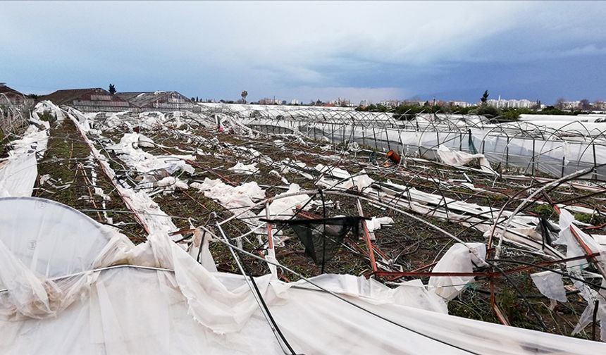 TARSİM 2026’da Teminat Altına Alınacak Ürün ve Riskleri Açıkladı