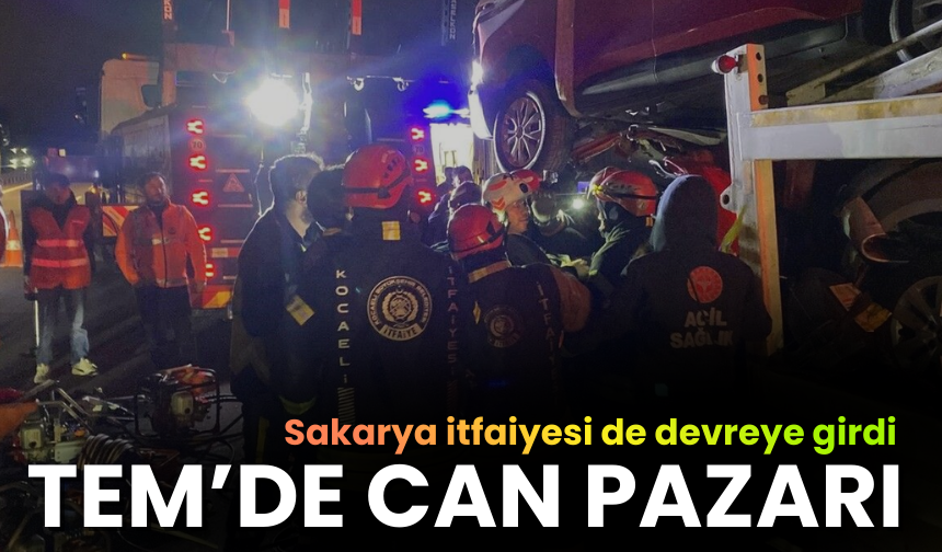 TEM'de can pazarı yaşandı!